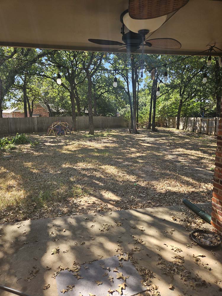 Backyard view
