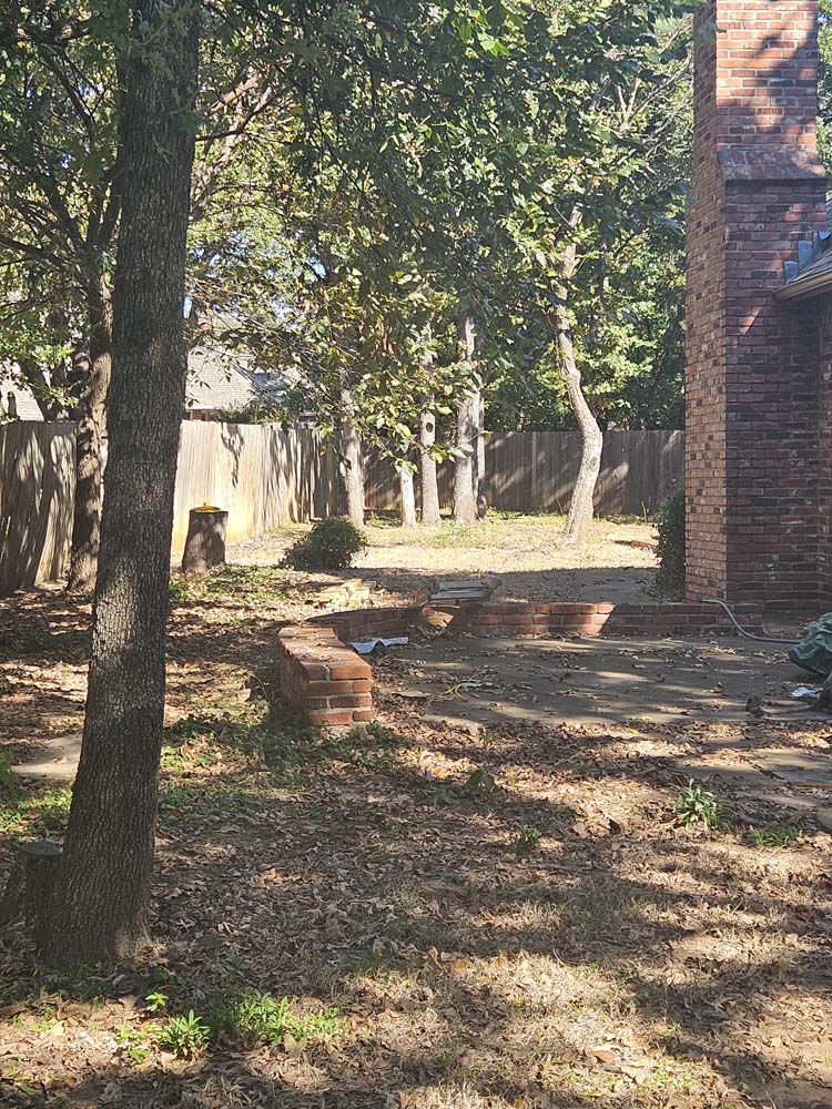 Backyard view